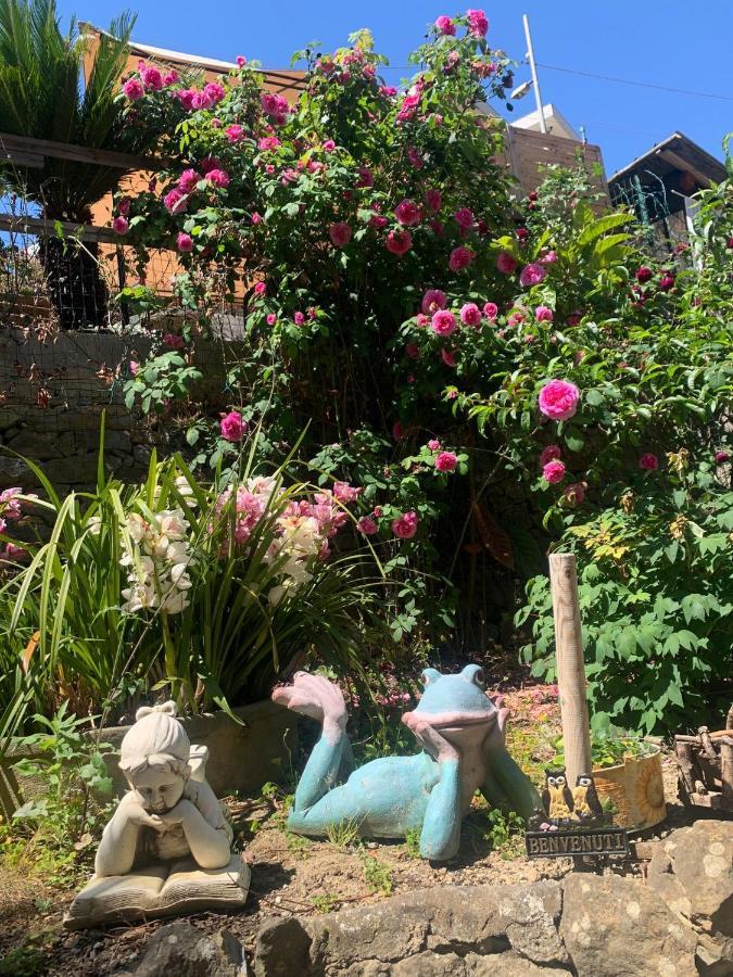 The Sea Flower Appartamento Con Giardino E Garage Auto Incluso 圣雷默 外观 照片