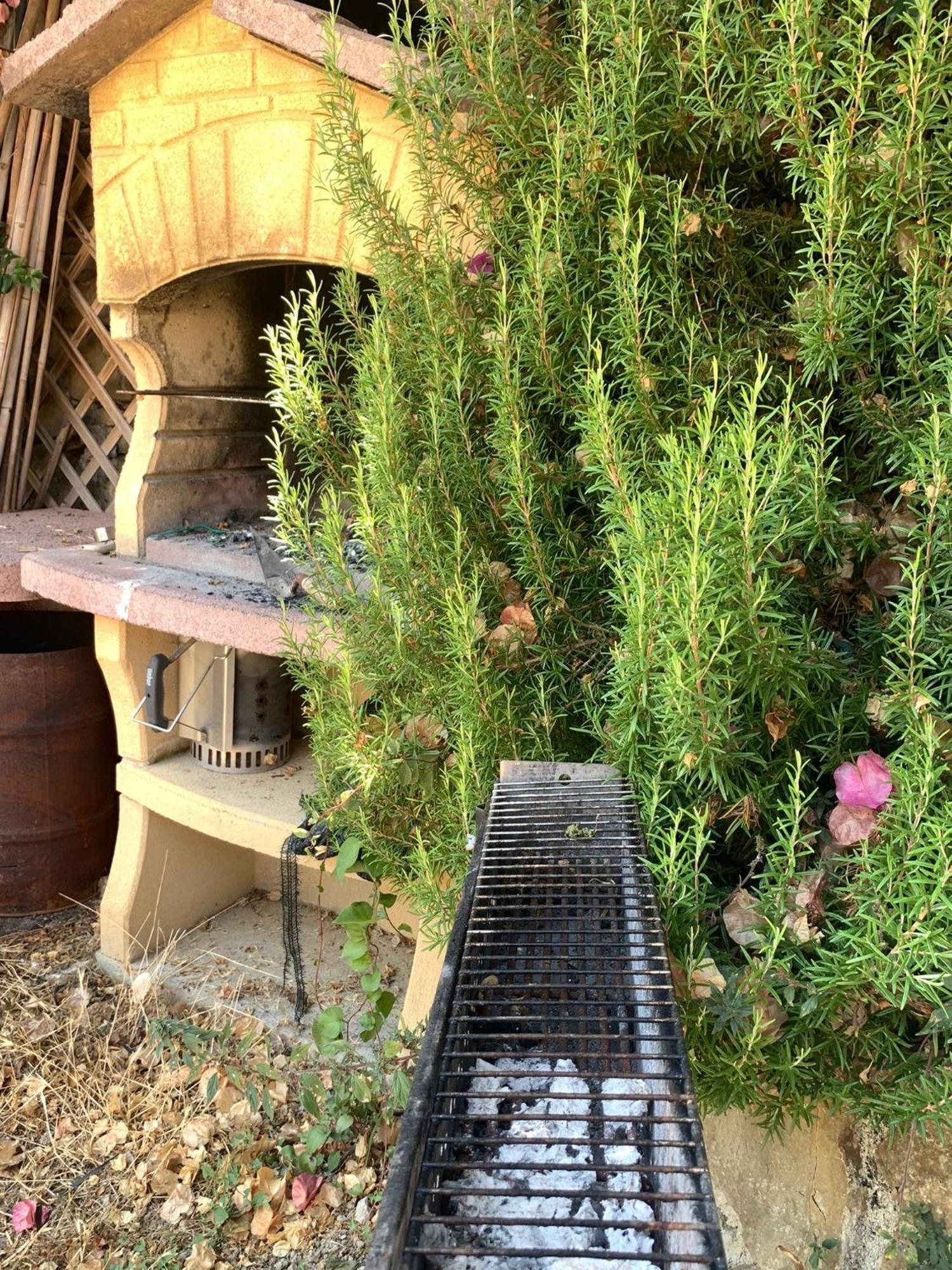 The Sea Flower Appartamento Con Giardino E Garage Auto Incluso 圣雷默 外观 照片